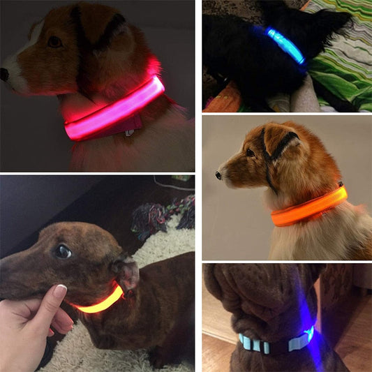 Adjustable LED Glowing Pet Collar: Keep Your Dog or Cat Safe and Visible at Night