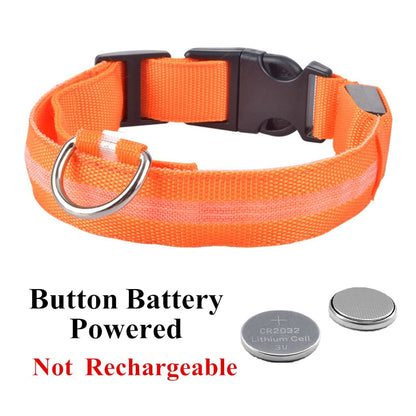 Adjustable LED Glowing Pet Collar: Keep Your Dog or Cat Safe and Visible at Night