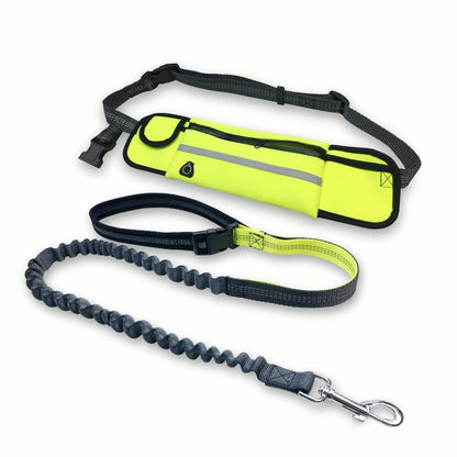 Handsfree Bungee Dog Leash running