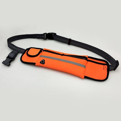 Handsfree Bungee Dog Leash running