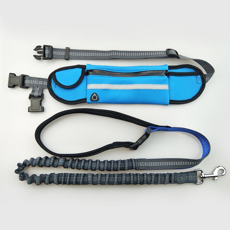 Handsfree Bungee Dog Leash running