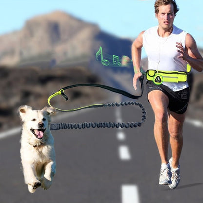 Handsfree Bungee Dog Leash running