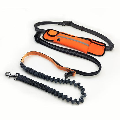 Handsfree Bungee Dog Leash running