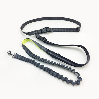 Handsfree Bungee Dog Leash running