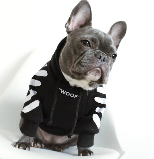 Winter Dog Hoodie jumper